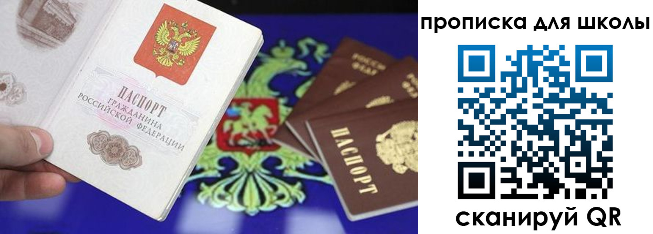 прописка в квартире в Ленинградской области